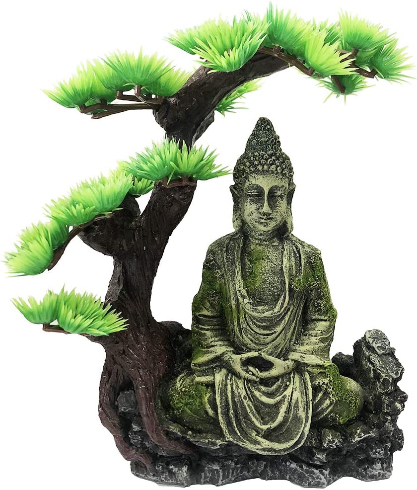 Your one-stop shop for diverse, top-quality aquarium supplies and accessories