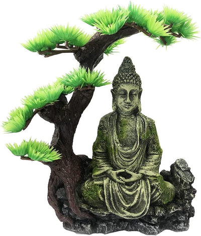 Your one-stop shop for diverse, top-quality aquarium supplies and accessories