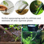 Your one-stop shop for diverse, top-quality aquarium supplies and accessories