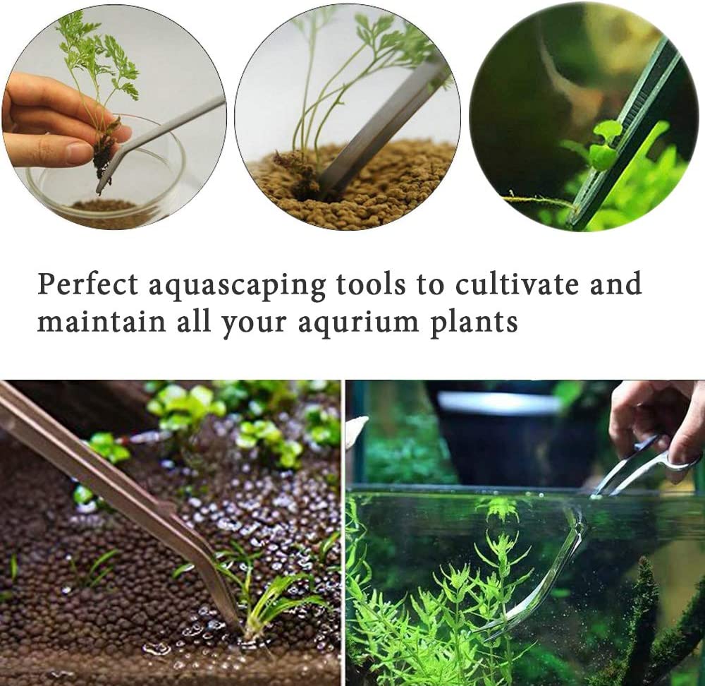Your one-stop shop for diverse, top-quality aquarium supplies and accessories
