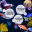 Your one-stop shop for diverse, top-quality aquarium supplies and accessories