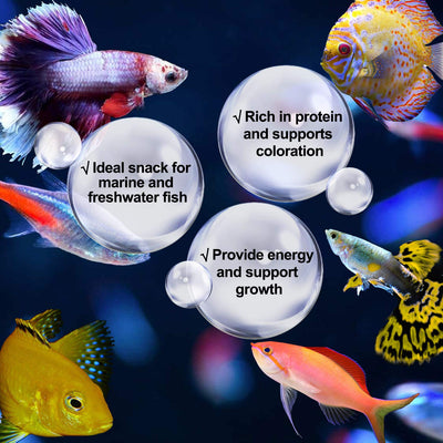 Your one-stop shop for diverse, top-quality aquarium supplies and accessories