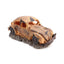 Your one-stop shop for diverse, top-quality aquarium supplies and accessories