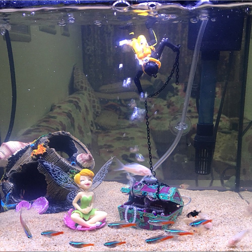 Your one-stop shop for diverse, top-quality aquarium supplies and accessories