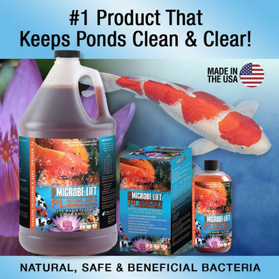 Your one-stop shop for diverse, top-quality aquarium supplies and accessories