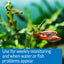 Your one-stop shop for diverse, top-quality aquarium supplies and accessories