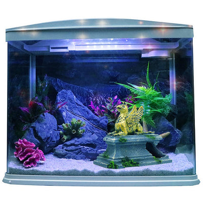Your one-stop shop for diverse, top-quality aquarium supplies and accessories