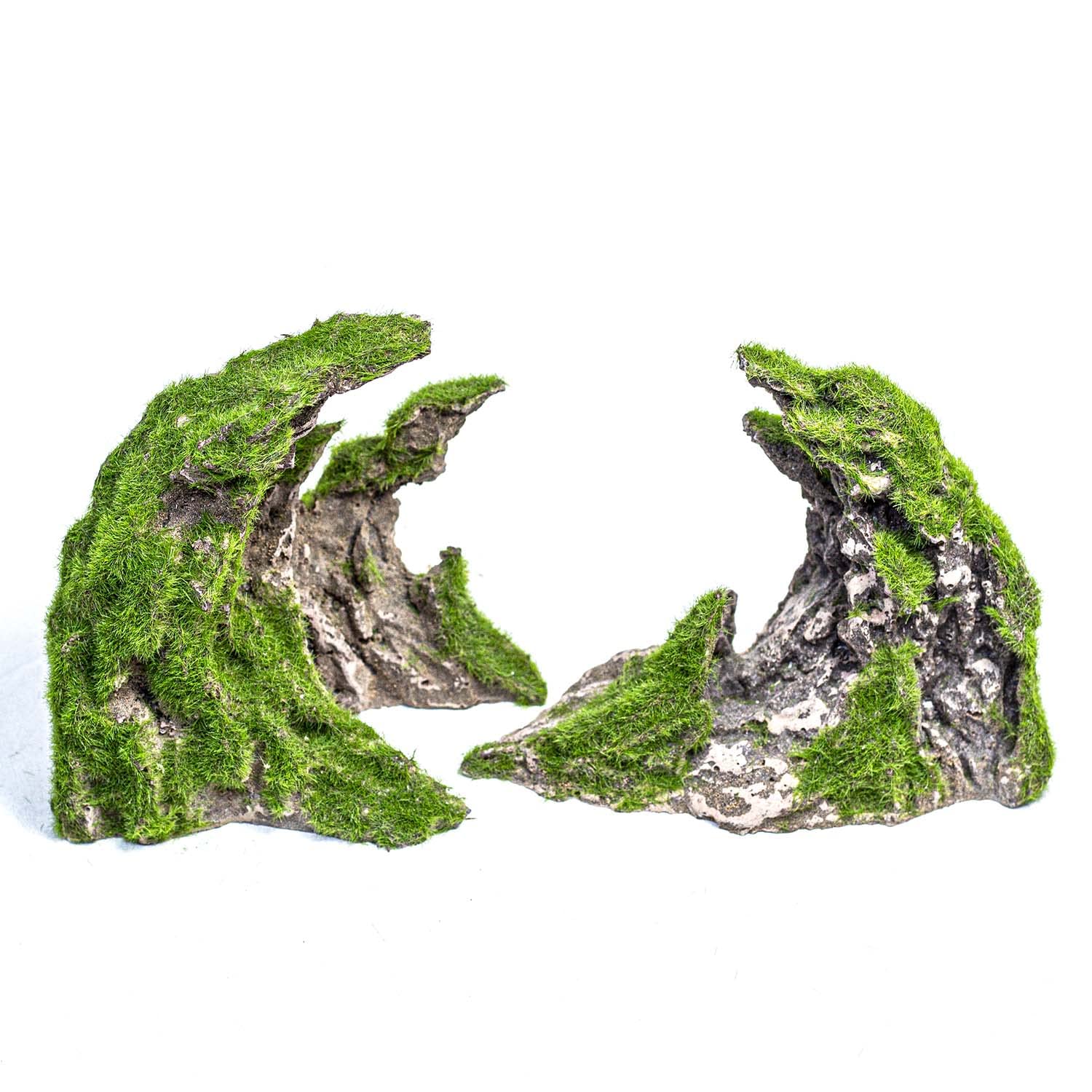 Your one-stop shop for diverse, top-quality aquarium supplies and accessories