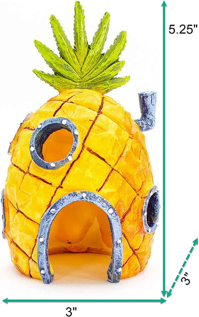 Your one-stop shop for diverse, top-quality aquarium supplies and accessories