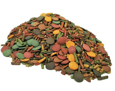 Your one-stop shop for diverse, top-quality aquarium supplies and accessories