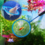 Your one-stop shop for diverse, top-quality aquarium supplies and accessories