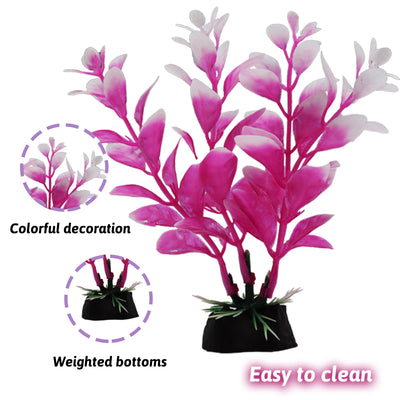 Your one-stop shop for diverse, top-quality aquarium supplies and accessories