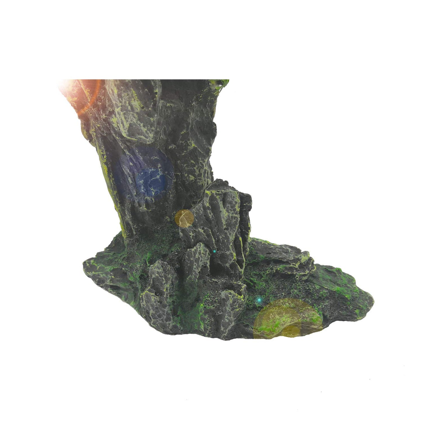 Your one-stop shop for diverse, top-quality aquarium supplies and accessories