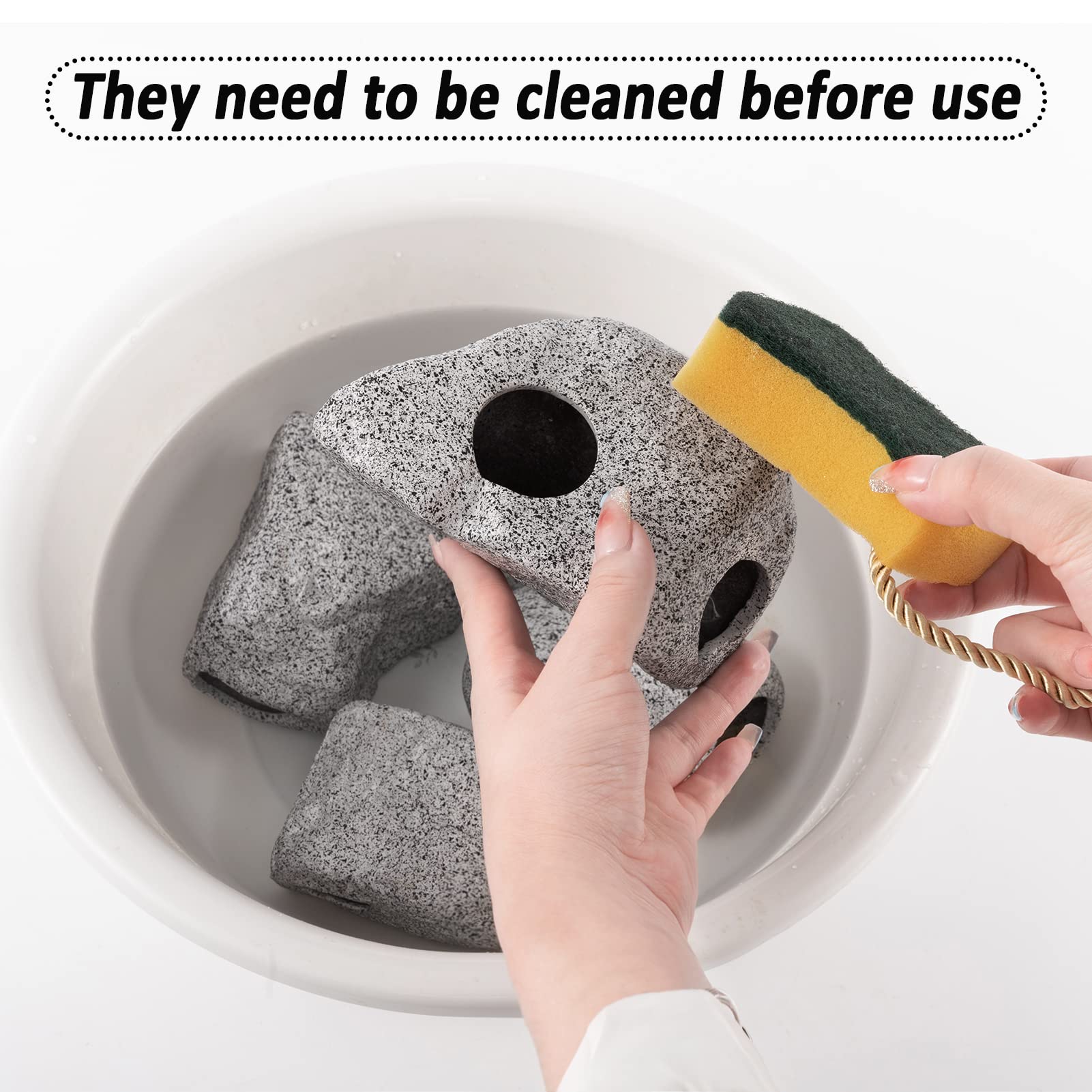 Your one-stop shop for diverse, top-quality aquarium supplies and accessories