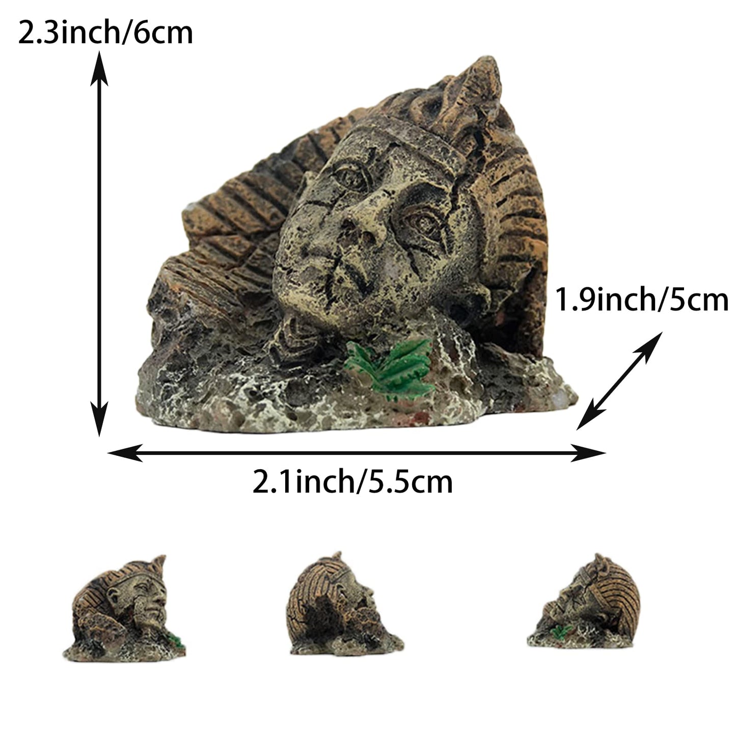 Your one-stop shop for diverse, top-quality aquarium supplies and accessories