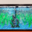 Your one-stop shop for diverse, top-quality aquarium supplies and accessories