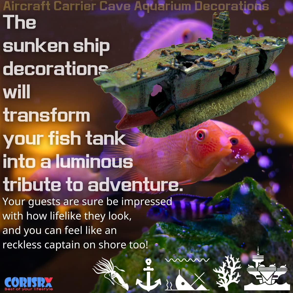Your one-stop shop for diverse, top-quality aquarium supplies and accessories