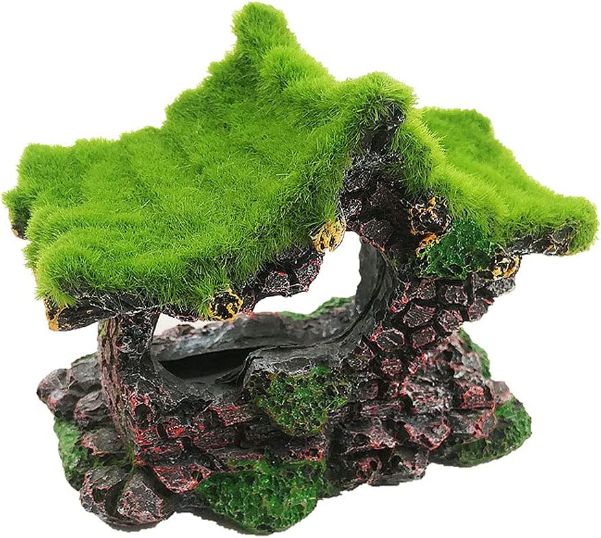 Your one-stop shop for diverse, top-quality aquarium supplies and accessories