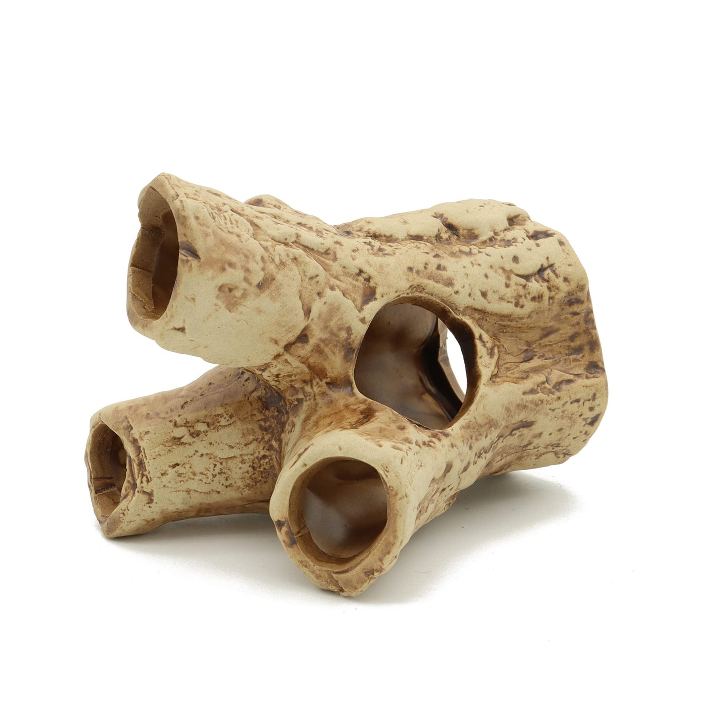 Your one-stop shop for diverse, top-quality aquarium supplies and accessories