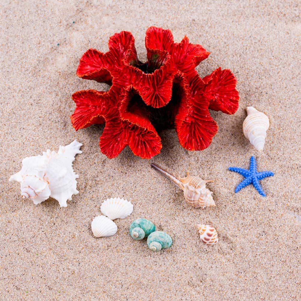 Your one-stop shop for diverse, top-quality aquarium supplies and accessories