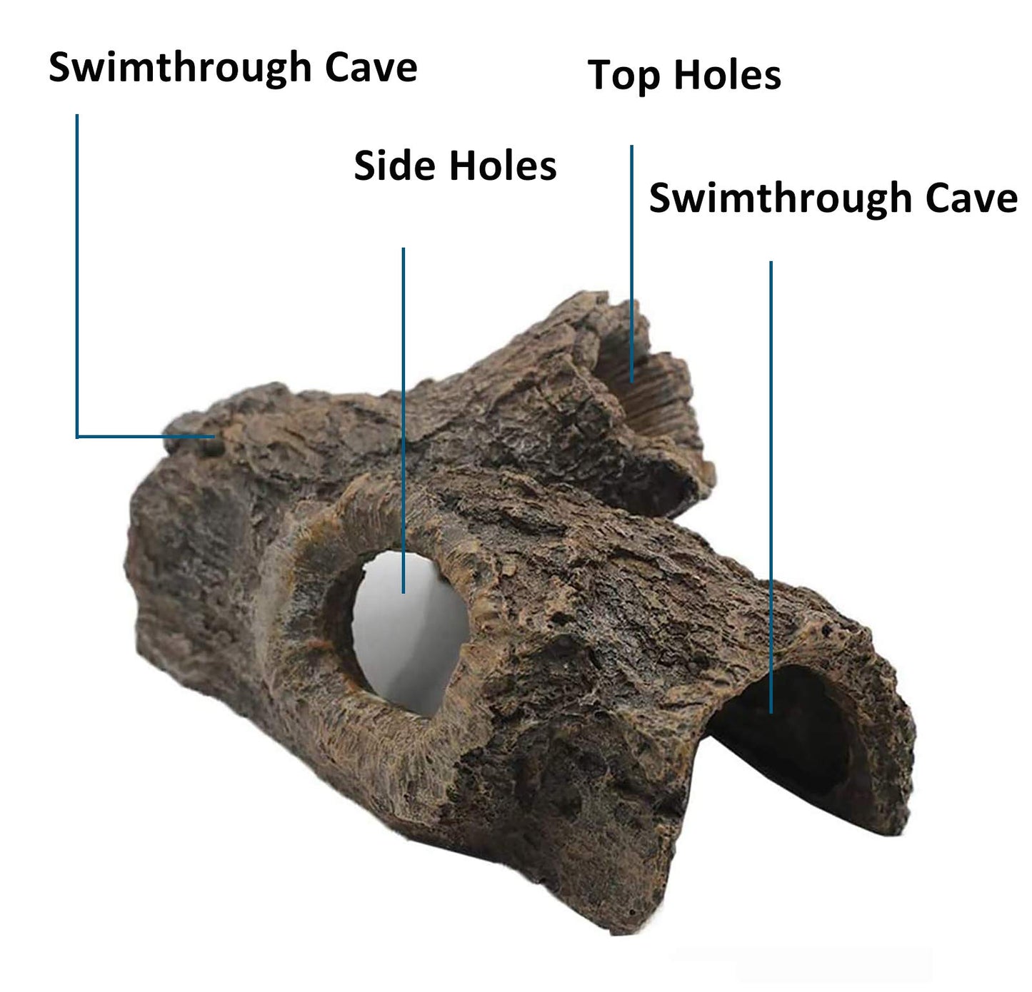 Your one-stop shop for diverse, top-quality aquarium supplies and accessories