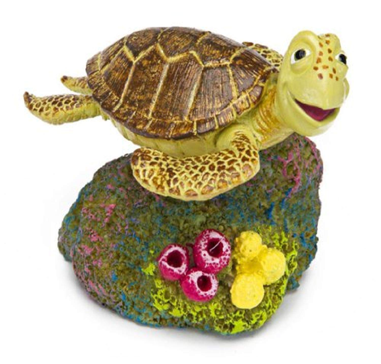 Your one-stop shop for diverse, top-quality aquarium supplies and accessories