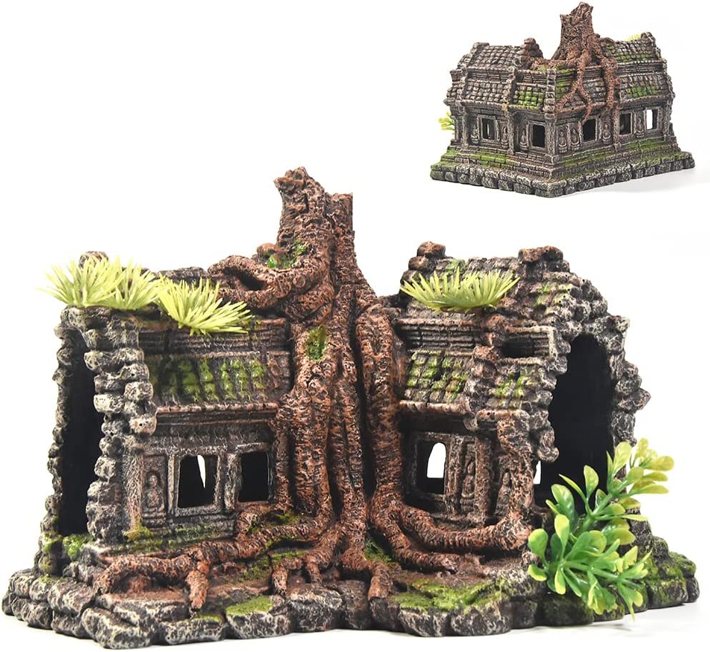 Your one-stop shop for diverse, top-quality aquarium supplies and accessories