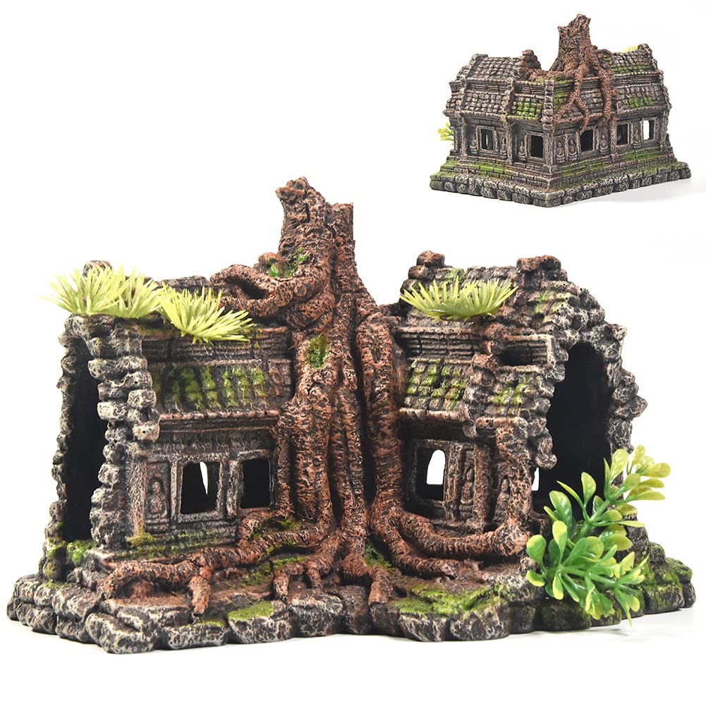 Your one-stop shop for diverse, top-quality aquarium supplies and accessories