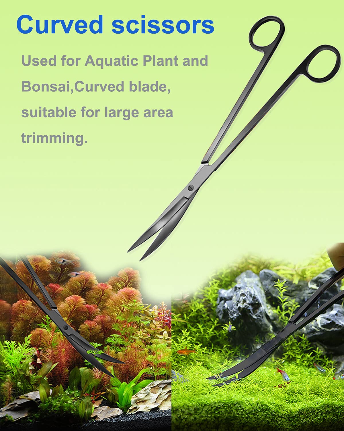 Your one-stop shop for diverse, top-quality aquarium supplies and accessories