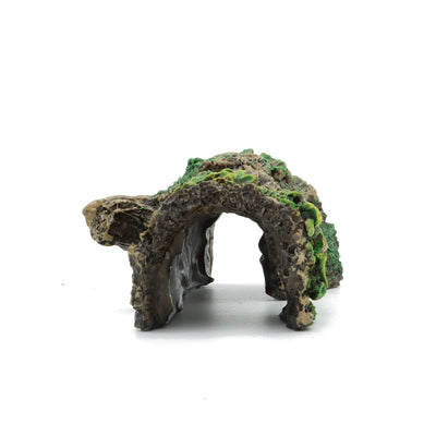Your one-stop shop for diverse, top-quality aquarium supplies and accessories