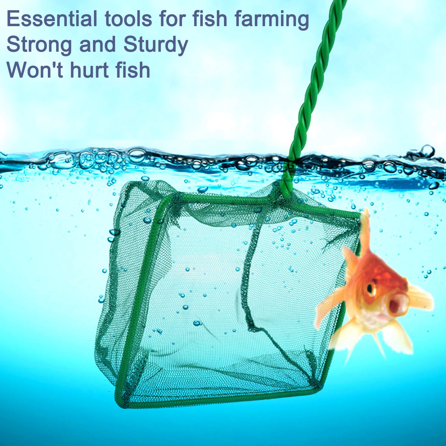 Your one-stop shop for diverse, top-quality aquarium supplies and accessories