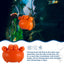 Your one-stop shop for diverse, top-quality aquarium supplies and accessories