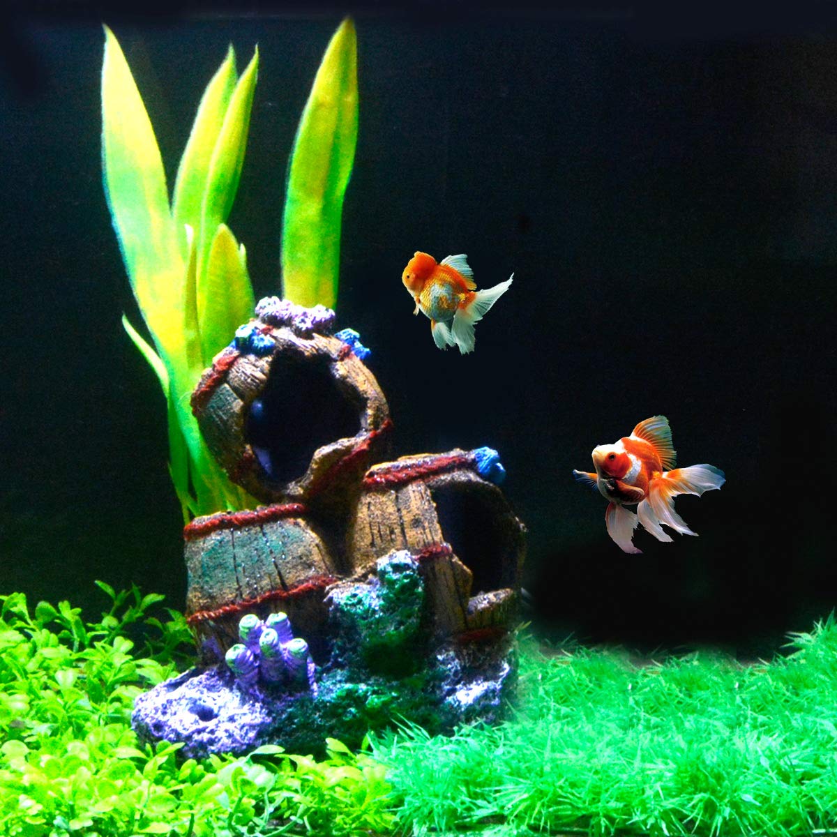 Your one-stop shop for diverse, top-quality aquarium supplies and accessories