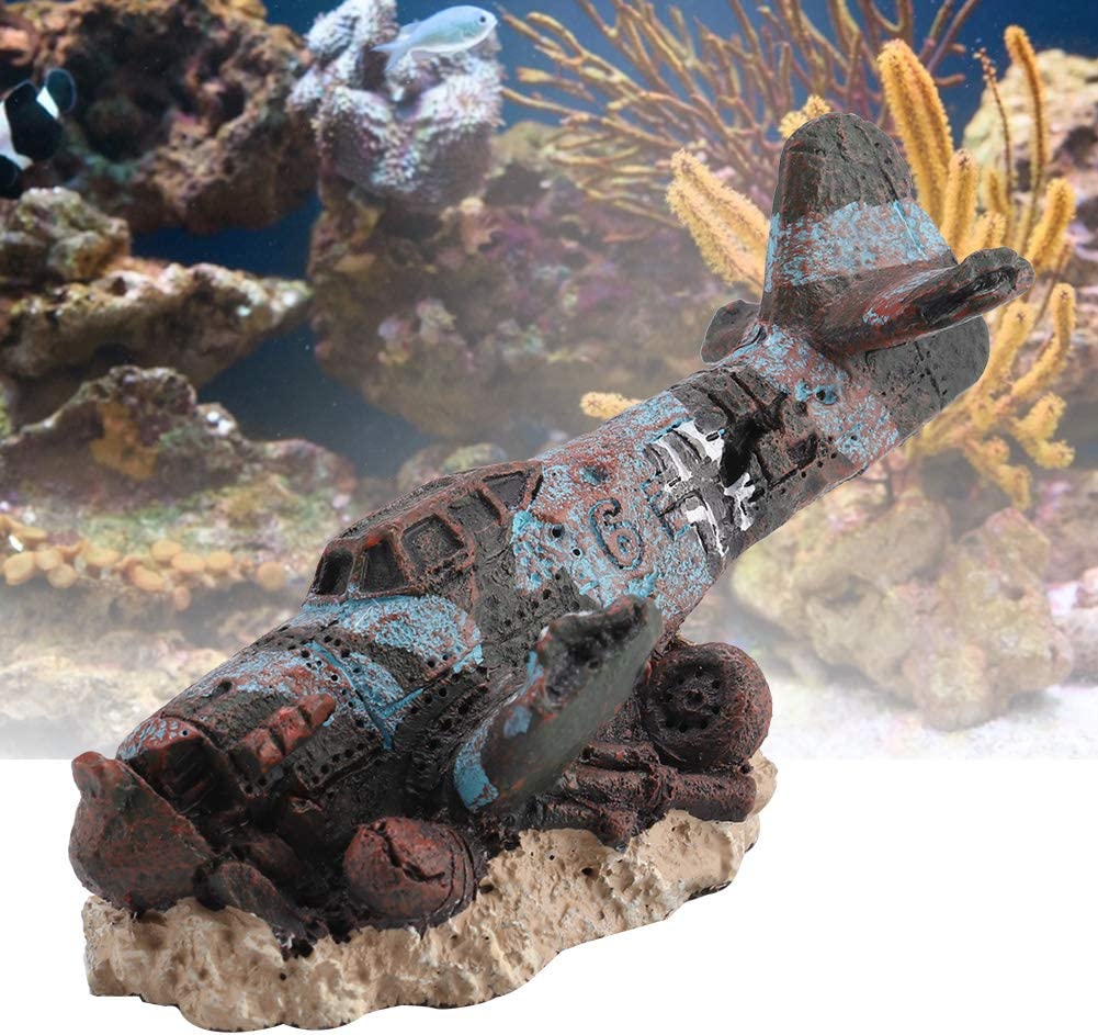 Your one-stop shop for diverse, top-quality aquarium supplies and accessories