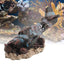 Your one-stop shop for diverse, top-quality aquarium supplies and accessories