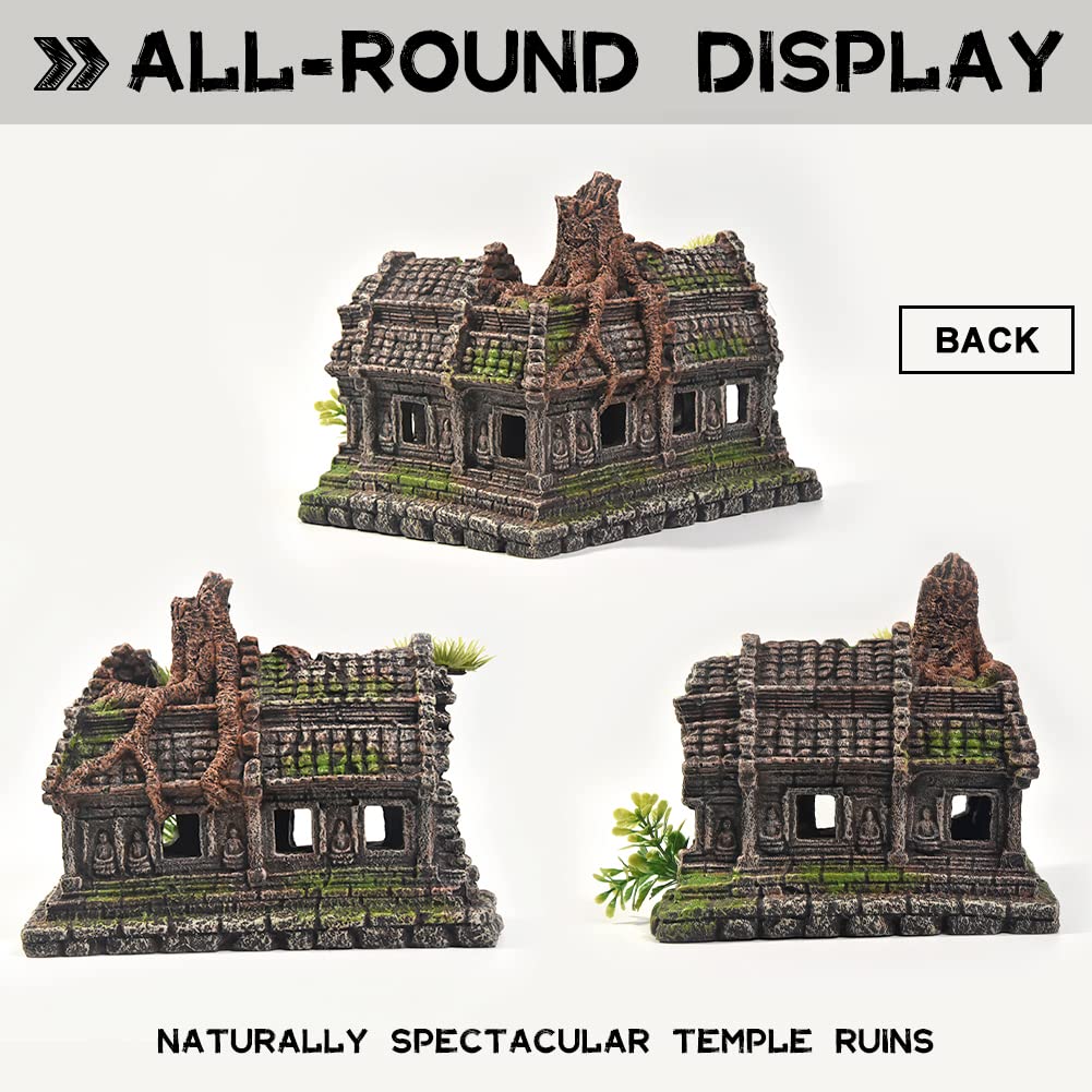 Your one-stop shop for diverse, top-quality aquarium supplies and accessories