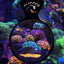 Your one-stop shop for diverse, top-quality aquarium supplies and accessories
