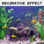 Your one-stop shop for diverse, top-quality aquarium supplies and accessories