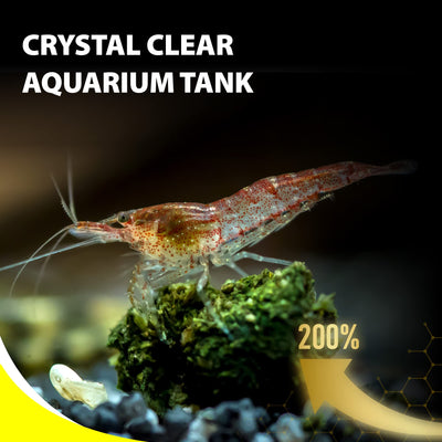 Your one-stop shop for diverse, top-quality aquarium supplies and accessories