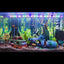 Your one-stop shop for diverse, top-quality aquarium supplies and accessories