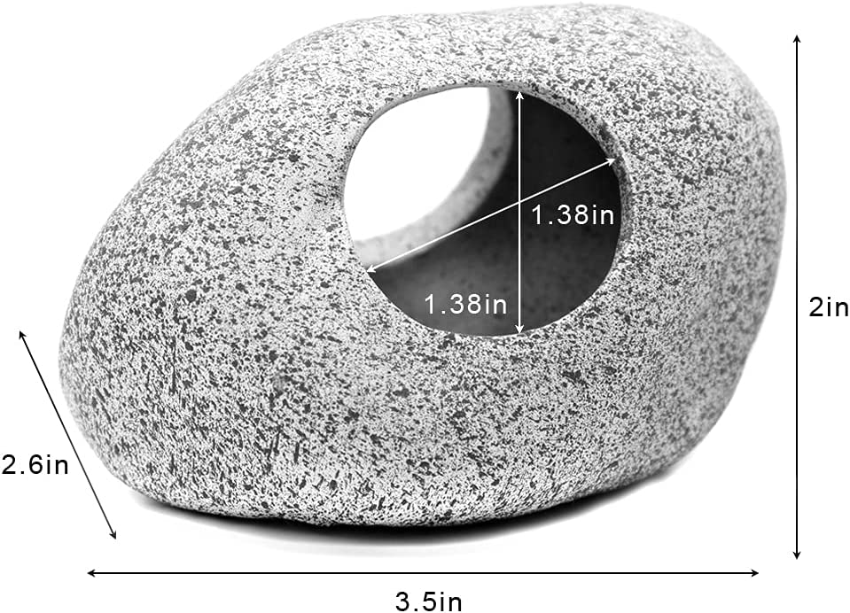 Your one-stop shop for diverse, top-quality aquarium supplies and accessories