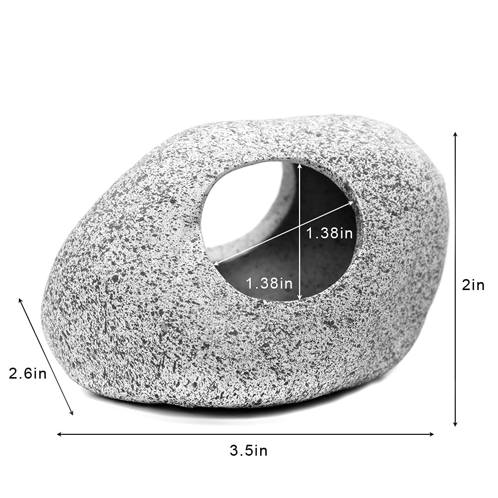 Your one-stop shop for diverse, top-quality aquarium supplies and accessories