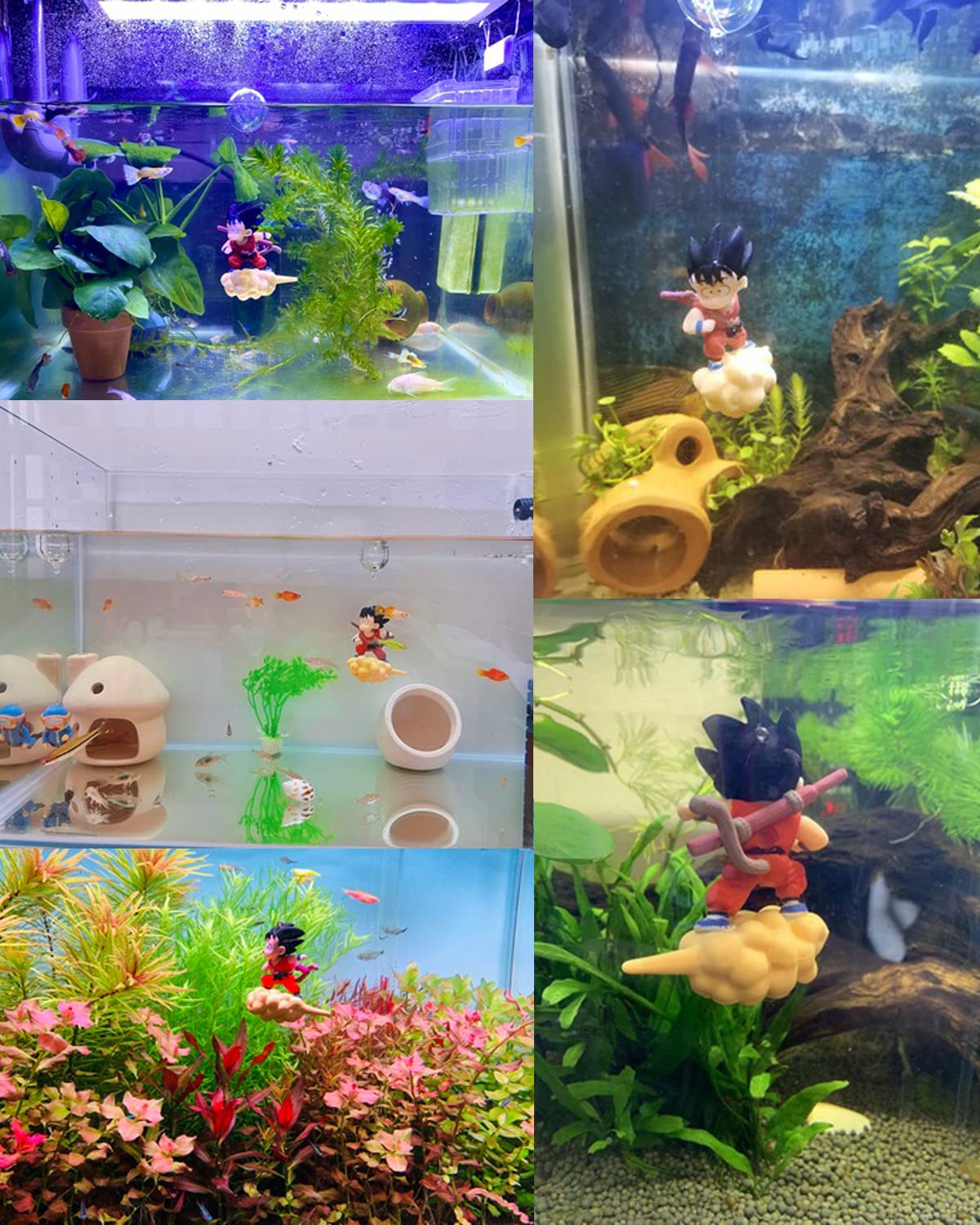 Your one-stop shop for diverse, top-quality aquarium supplies and accessories