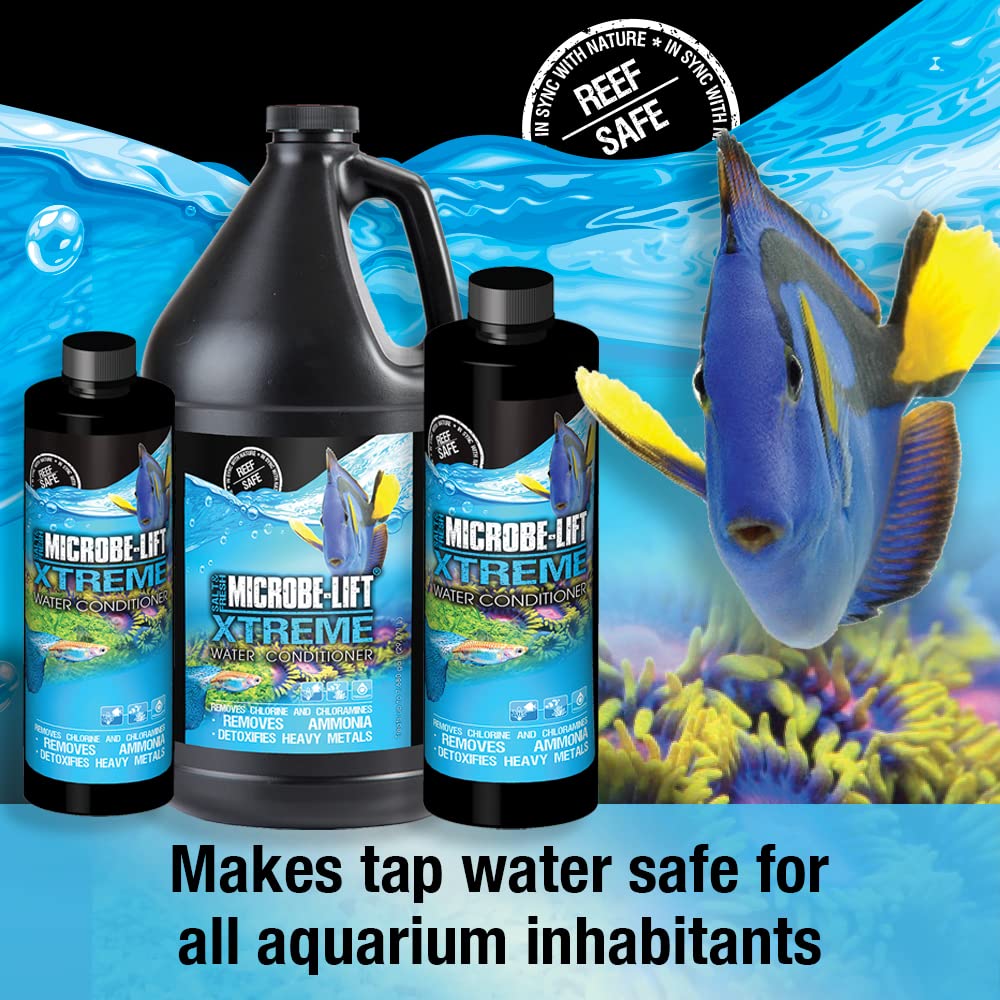 Your one-stop shop for diverse, top-quality aquarium supplies and accessories