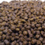 Your one-stop shop for diverse, top-quality aquarium supplies and accessories