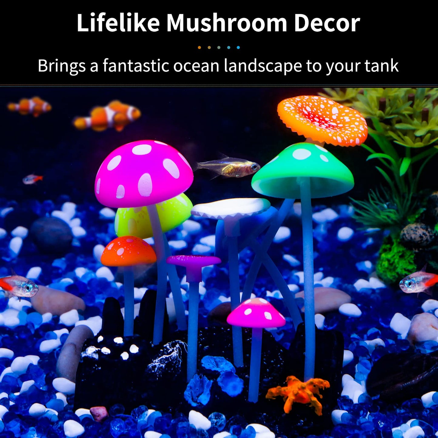 Your one-stop shop for diverse, top-quality aquarium supplies and accessories