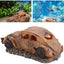 Your one-stop shop for diverse, top-quality aquarium supplies and accessories
