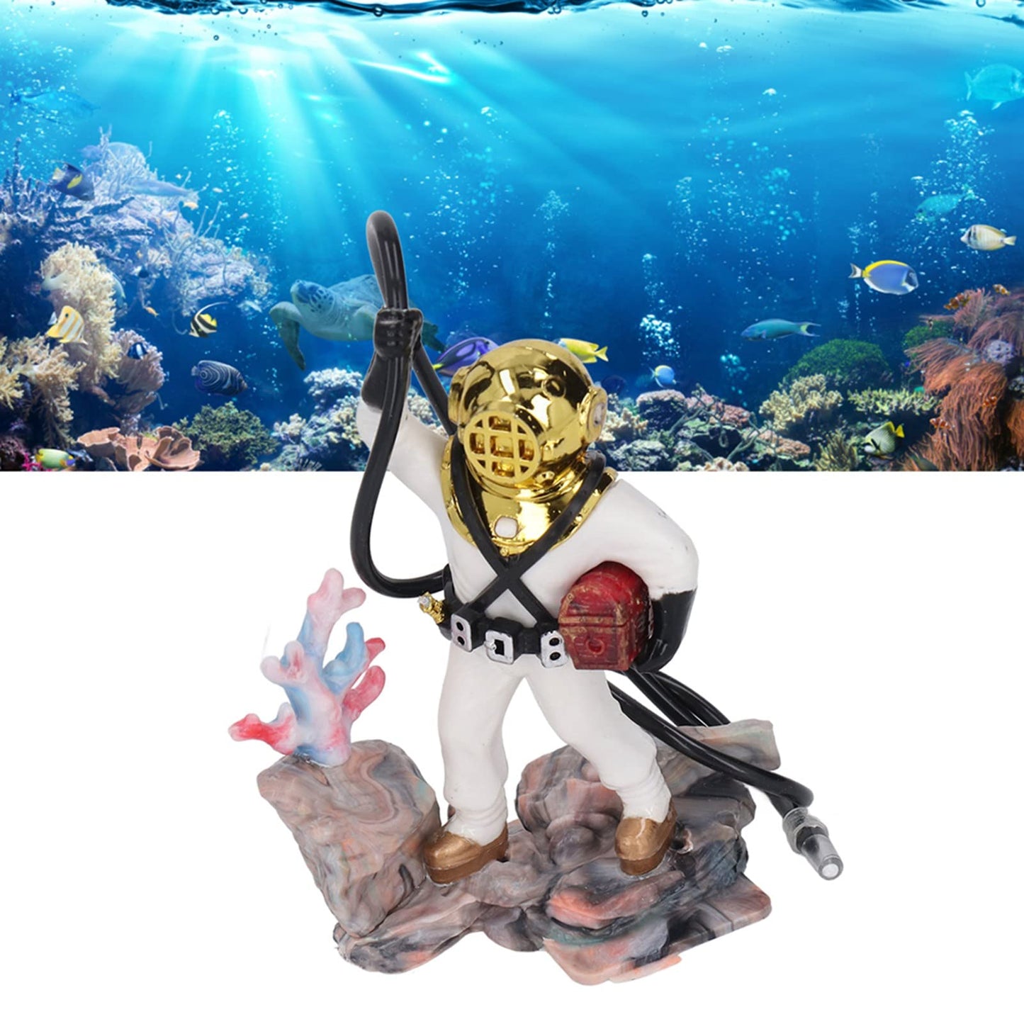 Your one-stop shop for diverse, top-quality aquarium supplies and accessories