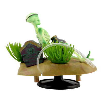 Your one-stop shop for diverse, top-quality aquarium supplies and accessories