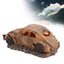 Your one-stop shop for diverse, top-quality aquarium supplies and accessories